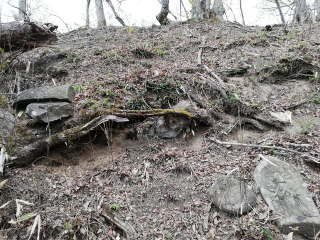 画像に含まれている可能性があるもの:木、屋外